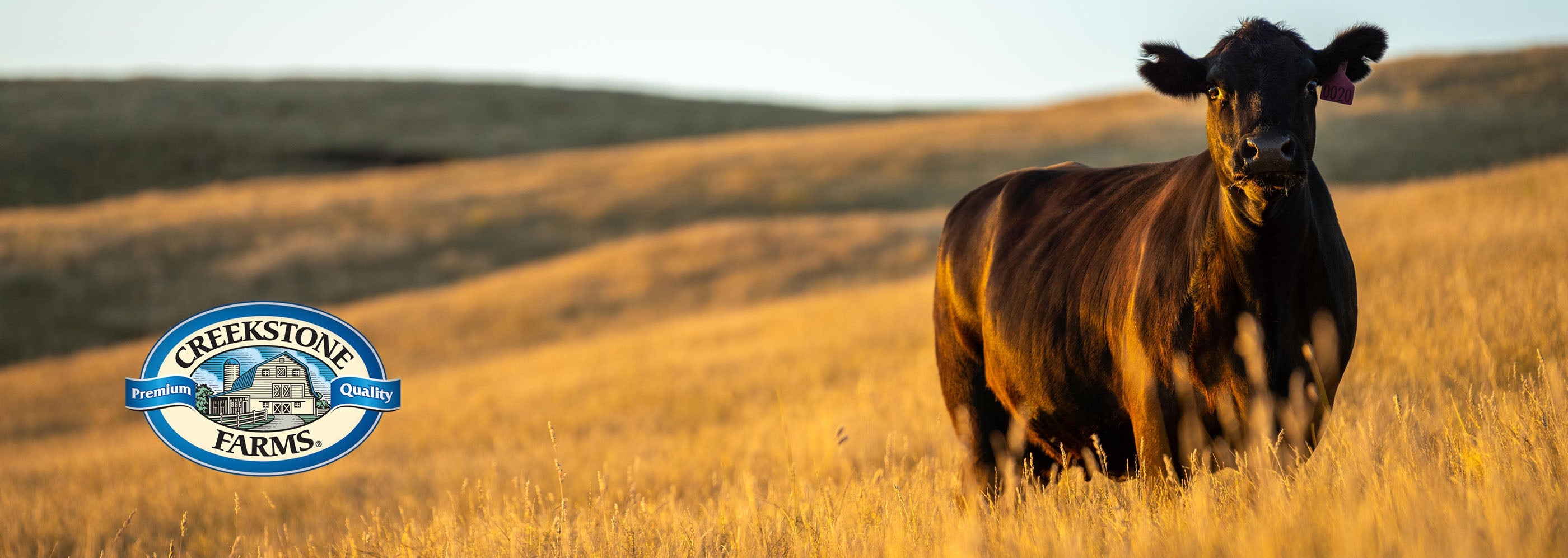 US-Beef Prime Sirloin | Steakhuft