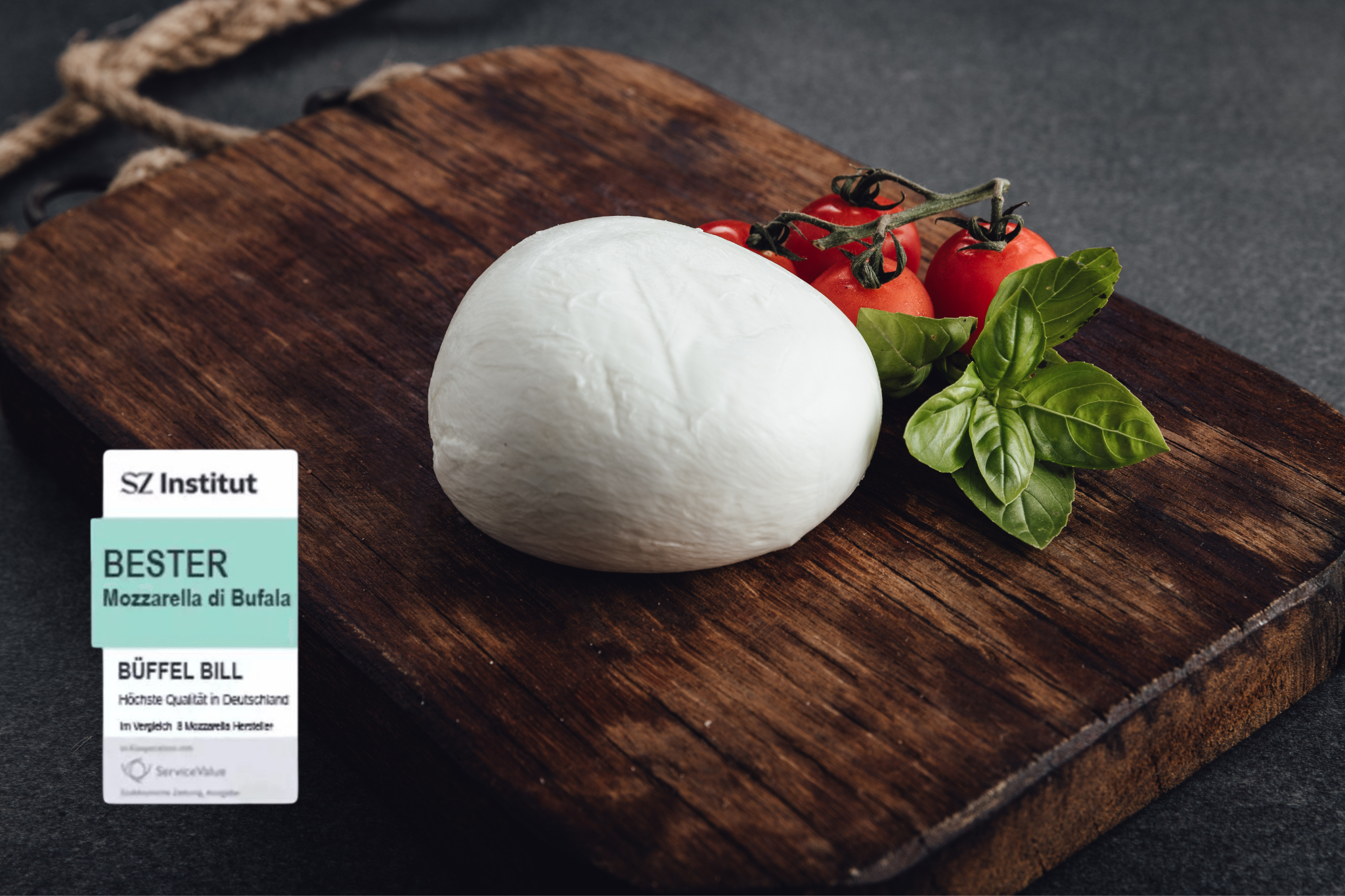 Buffalo Mozzarella Campana D.O.P. | 250g